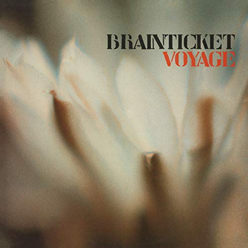 "Blurry, abstract album cover with 'Brainticket Voyage' text in black and red."