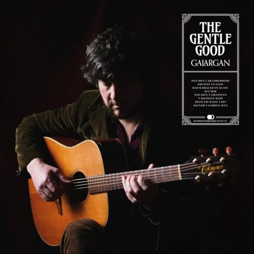 Vinyl album cover featuring a man playing an acoustic guitar.