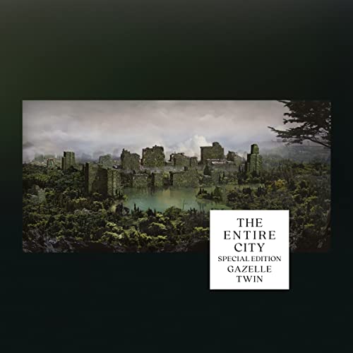 Album cover for Gazelle Twin’s “The Entire City,” depicting a ruined cityscape.