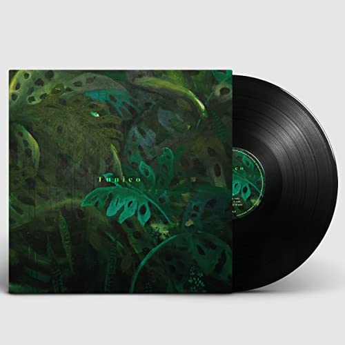 Vinyl record with green monstera leaf album cover art.