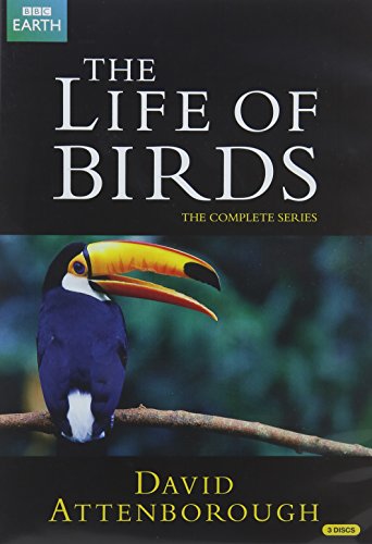 DVD cover featuring a toucan on a branch with title "The Life of Birds".