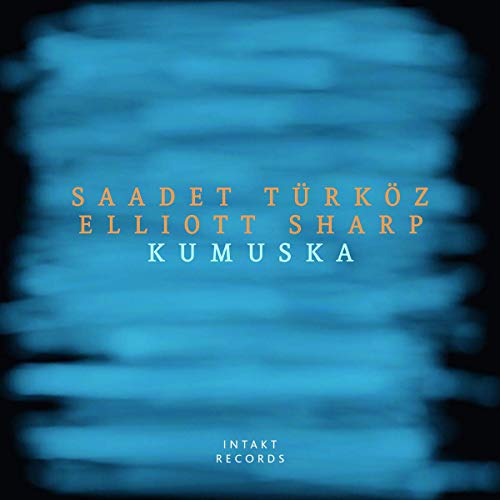"Blurry blue album cover with orange and white text, featuring artist and record label names."