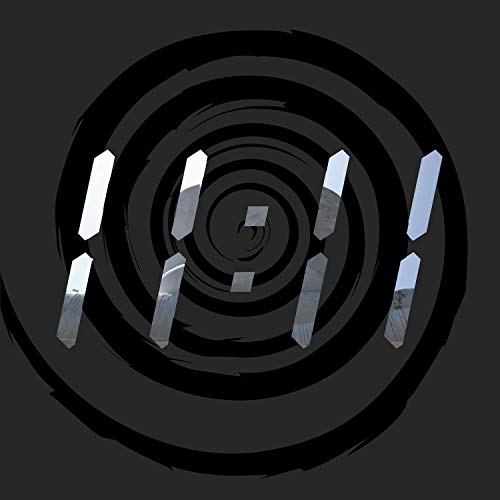 The image depicts a black vinyl record with a spiral design and reflective shards. For accessibility purposes, a suitable alt text could be: "Black vinyl record with spiral grooves and reflective shards."