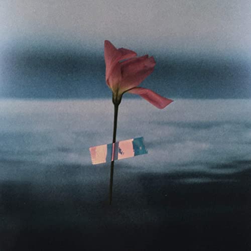 Vinyl album cover: a single red flower with blue and white background.