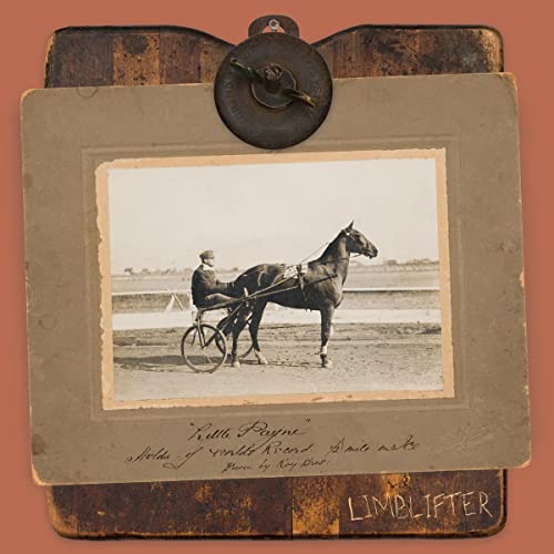 Vintage photo of a man riding a horse-drawn cart, framed in aged wood.