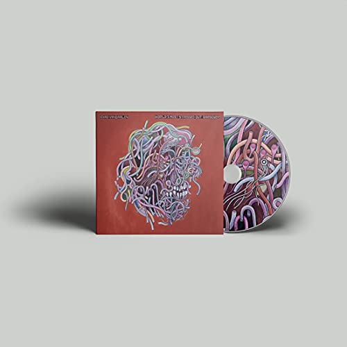 CD case and disc with colorful, tangled, face-like plant illustration.
