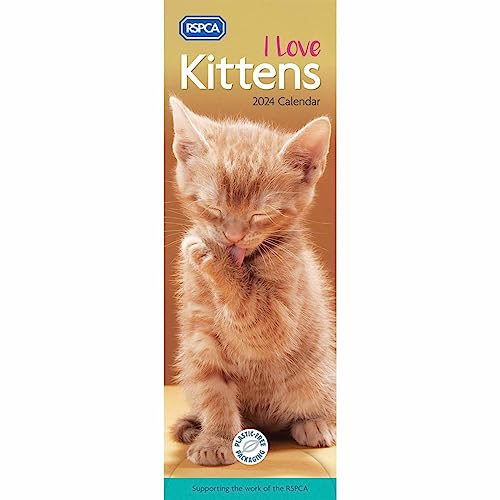 I Love Kittens RSPCA Slim Calendar 2024