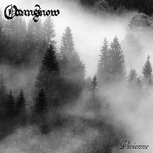 Black and white album cover depicting a misty forest scene.