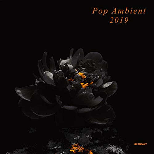 A black flower with orange center on a black background, "Pop Ambient 2019" text.