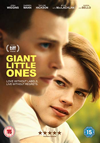DVD cover for “Giant Little Ones” featuring two young men in close-up.