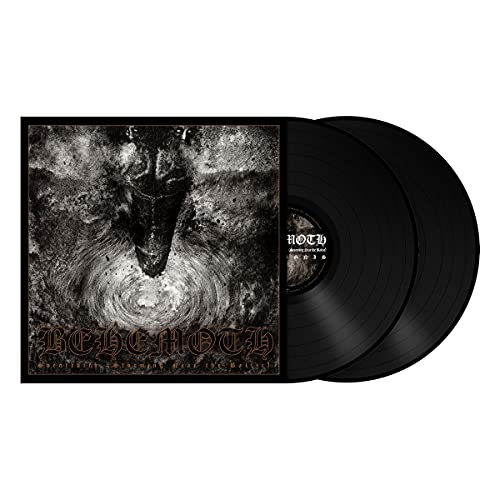 Behemoth vinyl record with dark, textured cover art featuring a horned figure.