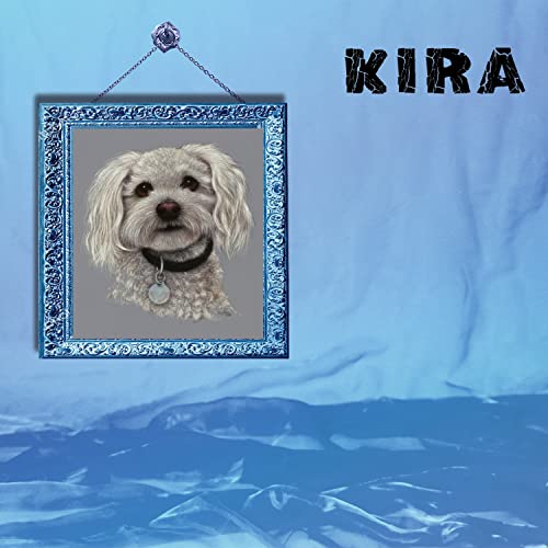 CD cover featuring a small white dog in an ornate blue frame.