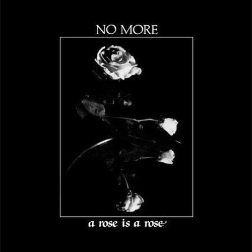 Black and white album cover featuring a rose with text "No More" and "a rose is a rose".
