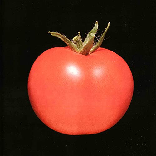 Red tomato with green stem against a black background, CD cover art.