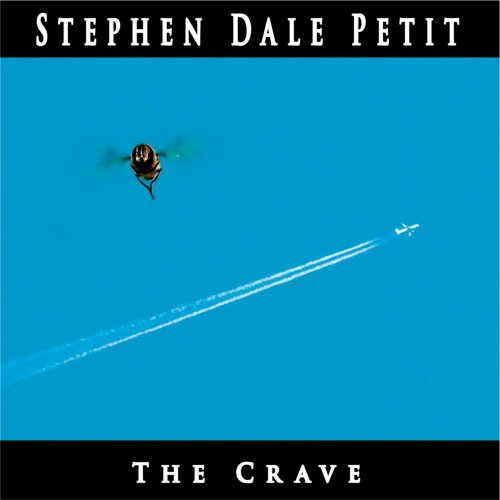 CD cover: bee flying above a distant airplane in a blue sky.