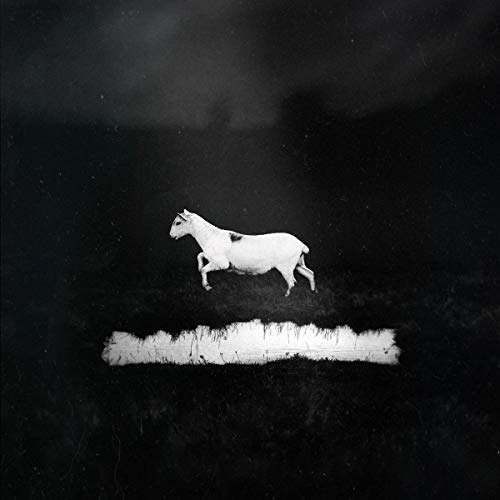 Black and white image of a leaping sheep over a snowy landscape.