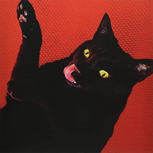 Black cat with yellow eyes licking its lips against a red background.