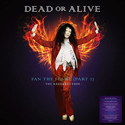 Album cover for Dead or Alive’s “Fan The Flame (Part 2)” with a fiery image.