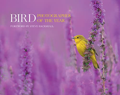 A bright yellow bird perched on a purple flower against a soft purple background.