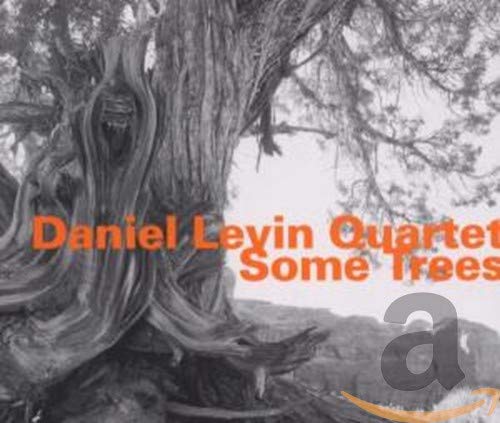 CD cover for Daniel Levin Quartet’s “Some Trees” featuring a tree trunk.
