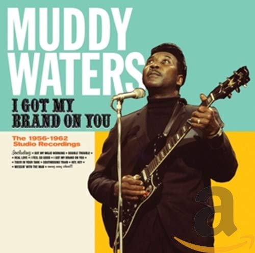 Muddy Waters CD cover featuring a portrait of the musician with a guitar.