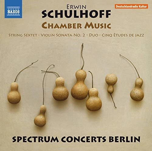 CD cover for Erwin Schulhoff’s Chamber Music, featuring stylized gourd shapes.