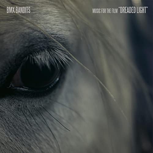 Close-up of a horse’s eye with textured, grayscale tones.