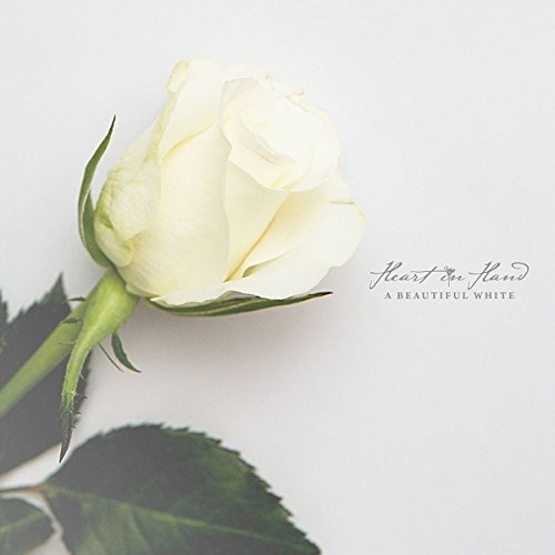 White rose with green stem and leaves on a white background with text.