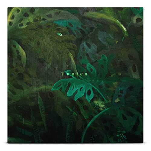 CD cover art featuring lush, dark green tropical foliage and "Tunico" text.