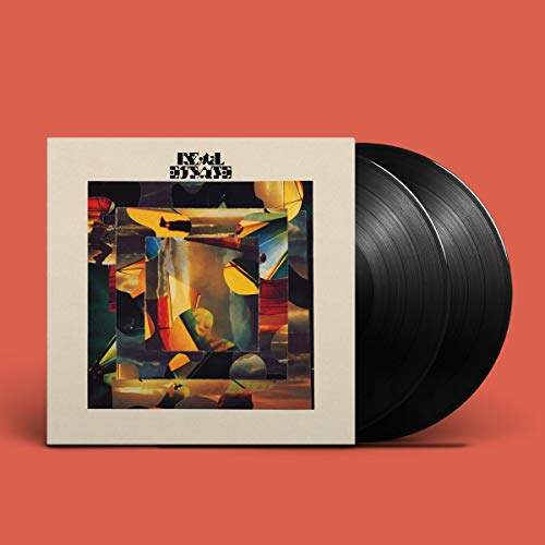 Real Estate The Main Thing vinyl record album cover with two black vinyl discs.