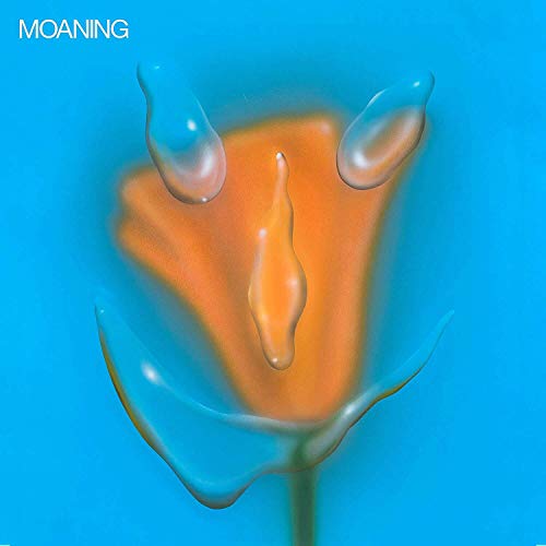 "Album cover featuring a distorted orange flower with water droplets on a blue background."