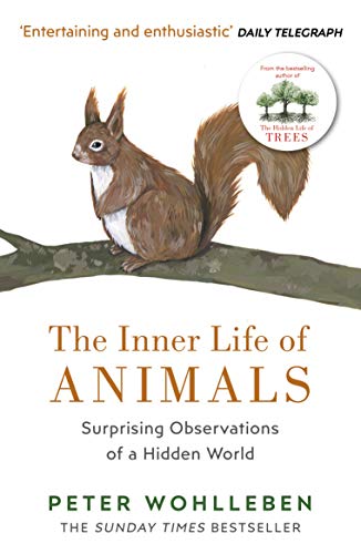 The image depicts a book cover featuring a brown squirrel on a branch.
