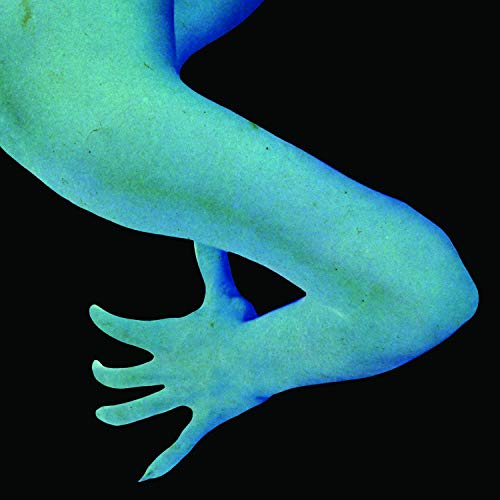 Close-up of a turquoise gecko foot clinging to a dark surface.