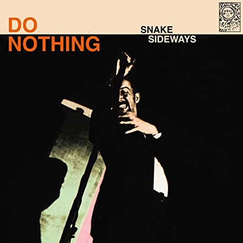 Vinyl album cover for Do Nothing’s “Snake Sideways,” featuring a performer.