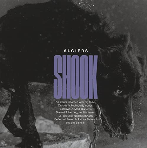 CD cover for Algiersā āShookā featuring a chained black dog.