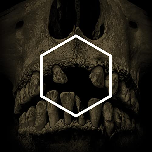 Human skull with open mouth, framed by a white hexagon.