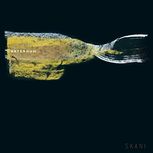 A CD cover featuring an abstract landscape with "AETERNUM" and "SKANI" text on a black background.