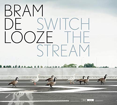 CD cover for Bram De Looze’s “Switch The Stream” with geese.