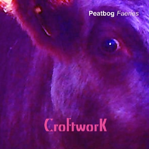 "CD album cover with a close-up of a sheep's face, purple and pink hues."