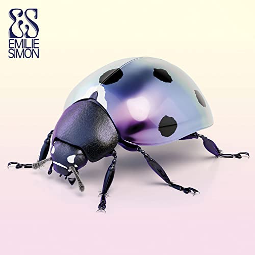 Iridescent ladybug on a pale pink and white gradient background.