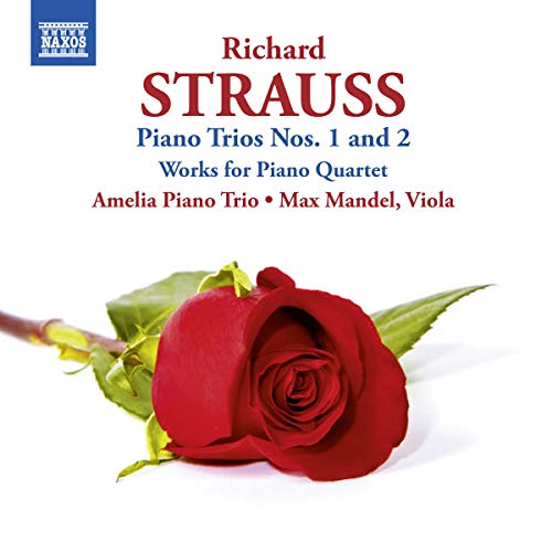 CD cover for Strauss piano trios featuring a red rose.
