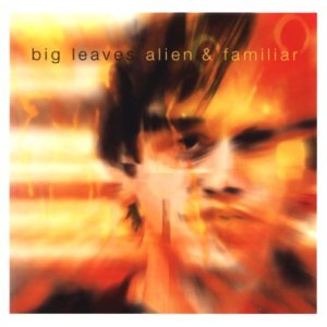 CD album cover with a blurry man's face and orange background.