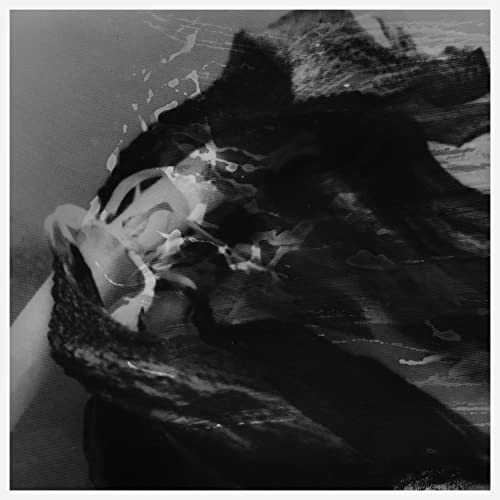 Black and white abstract album cover with blurred, layered imagery.