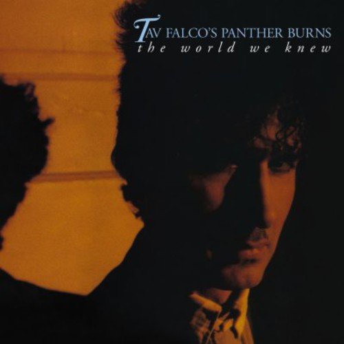 "CD cover with two silhouetted figures and 'Tav Falco's Panther Burns' text."