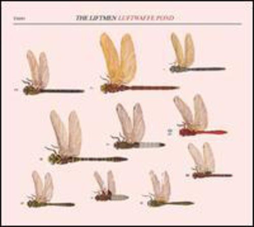 Vinyl record cover featuring illustrated dragonflies on a pale pink background.