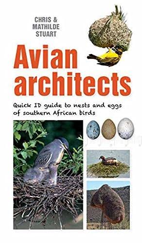 Avian Architects: Quick ID Guide to Nests and Eggs of Southern African Birds (Quick ID guides)