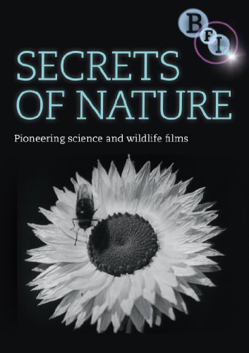 DVD cover for "Secrets Of Nature" featuring a sunflower and bee.