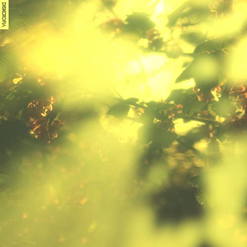 CD cover for Hyetal’s “States” featuring blurred yellow and green foliage.