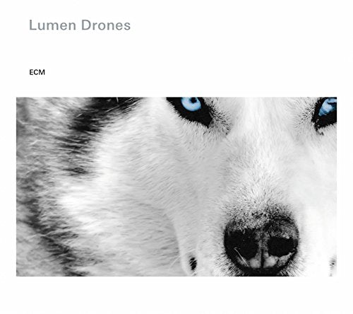 Album cover featuring a close-up of a husky's face with blue eyes.