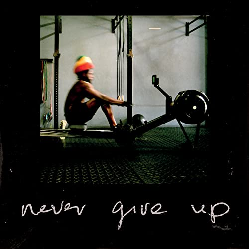 Person rowing on a machine in a dimly lit gym, text reads "never give up".